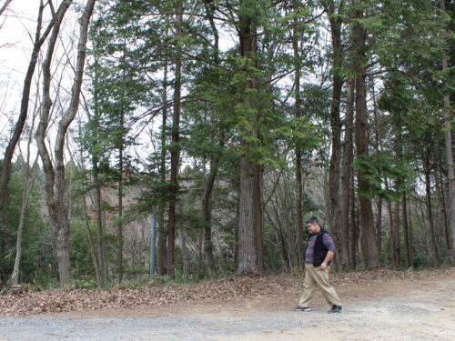 福野道隆　笠間　彩色