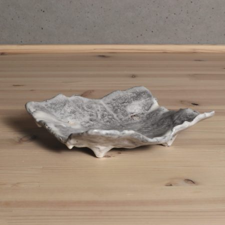 鼠志野紙皿　大前悟　淡路島　食器　器　うつわ