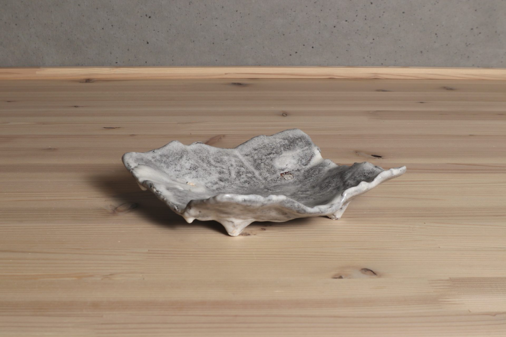 鼠志野紙皿 大前悟 淡路島 食器 器 うつわ